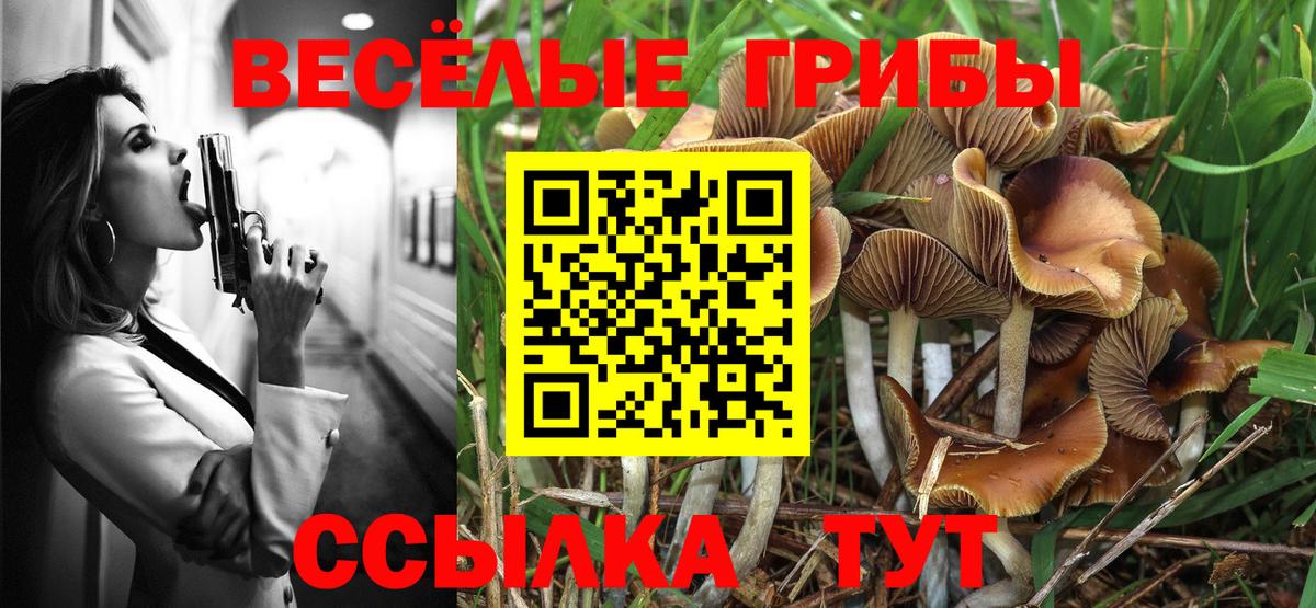 Псилоцибиновые грибы Psilocybine cubensis Валуйки